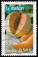 Le melon Le melon