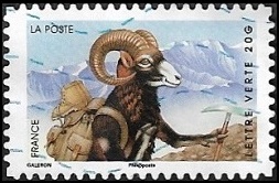 Mouflon faisant de l Mouflon faisant de l