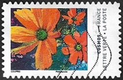 Cosmos 8 Cosmos 8