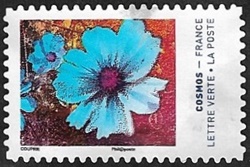 Cosmos 10 Cosmos 10