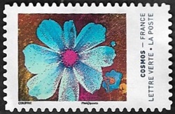 Cosmos 4 Cosmos 4