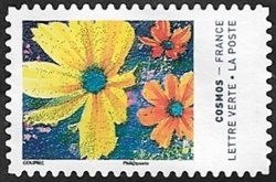 Cosmos 7 Cosmos 7