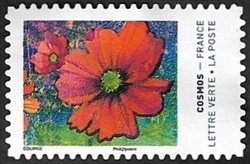 Cosmos 9 Cosmos 9