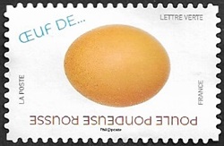 Poule pondeuse rousse Poule pondeuse rousse