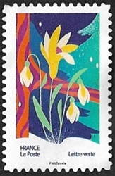 Perce-neige Perce-neige