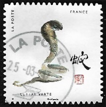 Année du serpent Année du serpent