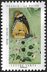 Art Indou - Shyâm Papillon Art Indou - Shyâm Papillon