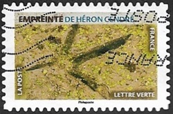Empreinte de héron Empreinte de héron