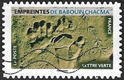 Empreintes de babouin chacma Empreintes de babouin chacma
