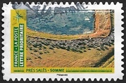Prés salés - Somme Prés salés - Somme