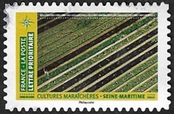 Cultures maraîchères - Seine-Maritime Cultures maraîchères - Seine-Maritime