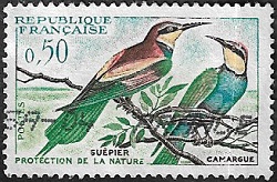 Le Guêpier - Camargue Le Guêpier - Camargue