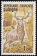 Sologne Sologne