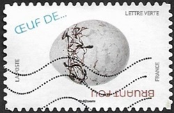 Bruant fou
