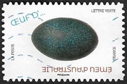 Emeu d'Australie Emeu d'Australie