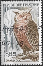 Grand Duc Grand Duc