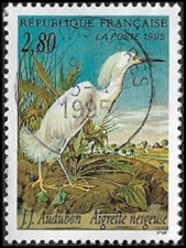 Aigrette neigeuse Aigrette neigeuse