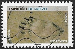 Empreinte de grizzli Empreinte de grizzli