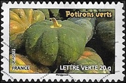 Potirons verts Potirons verts