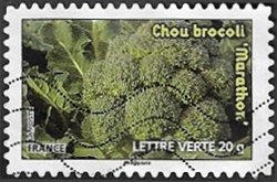 Chou brocoli Chou brocoli