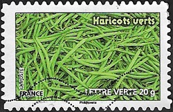 Haricots verts Haricots verts