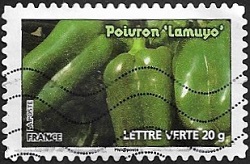 Poivrons 'Lamuyo' Poivrons 'Lamuyo'