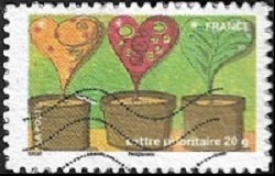 Plantes-cœurs dans des pots Plantes-cœurs dans des pots