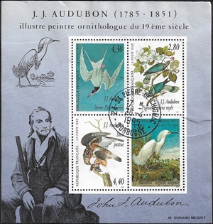 John J. Audubon (1785 - 1851) John J. Audubon (1785 - 1851)