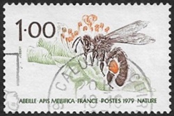 Abeille (Apis mellifica) Abeille (Apis mellifica)