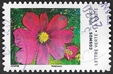 Cosmos 1 Cosmos 1