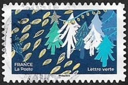 Forêt de sapins Forêt de sapins