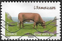 L'armoricaine L'armoricaine