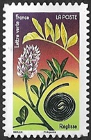 Réglisse Réglisse