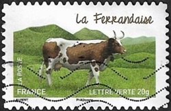 La Ferrandaise La Ferrandaise