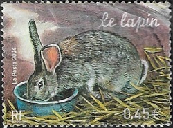 Le lapin Le lapin
