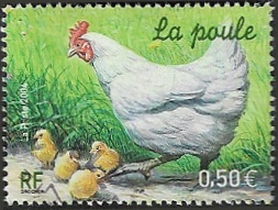 La poule La poule