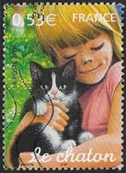 Le chaton Le chaton