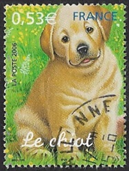Le chiot Le chiot