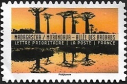 Madagascar / Morondava - Allée des Baobabs Madagascar / Morondava - Allée des Baobabs