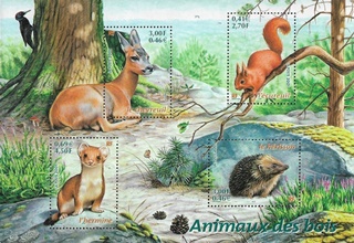 Animaux des bois Animaux des bois