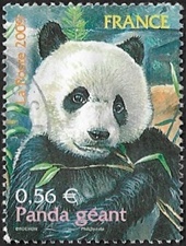 Panda géant