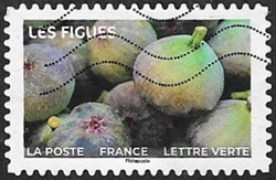 Les figues Les figues
