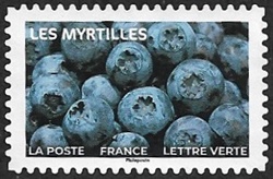 Les myrtilles Les myrtilles