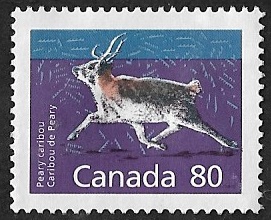 Caribou de Peary Caribou de Peary