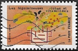 Les légumineuses riches en vitamines Les légumineuses riches en vitamines